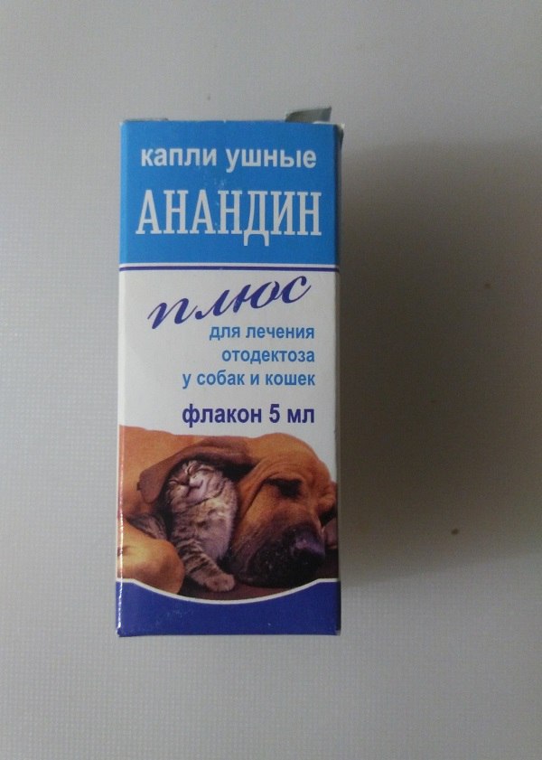 Лечение на ушни акари при котки от народни средства за лечение до съвременни лекарства