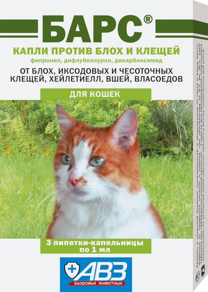 Treatment of ear mites in cats from folk remedies to modern drugs