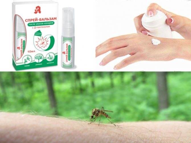 regler för behandling av myggis