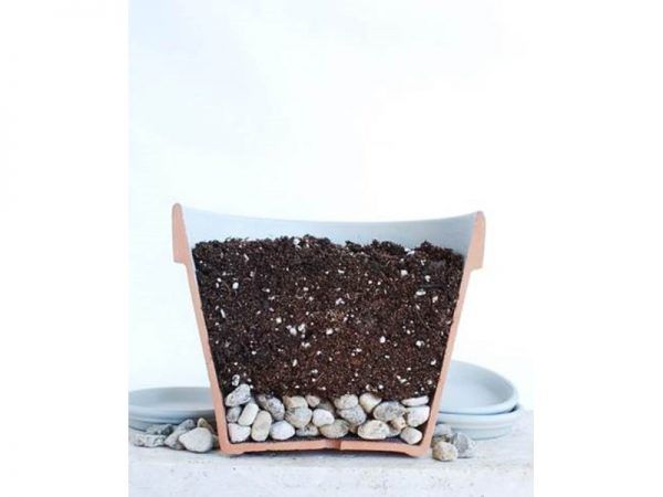 Leafy soil in a pot
