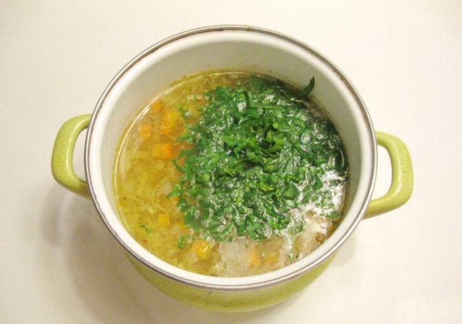 Gravilata leaves in soups