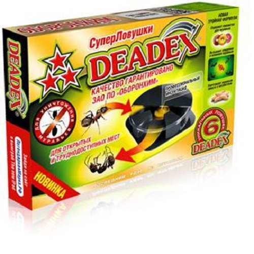 Perangkap Semut Deadex