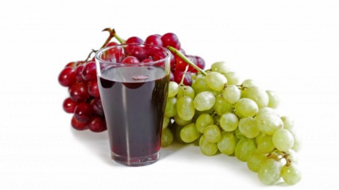 Най-добрите устойчиви на замръзване сортове грозде: характеристики, описание, критерии за подбор