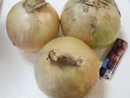 the best varieties of onions 1-11