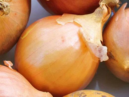 the best varieties of onions - ellan