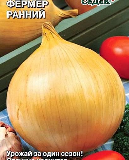 the best varieties of onions - early farmer