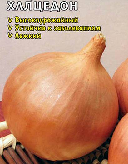 the best varieties of onions - chalcedony