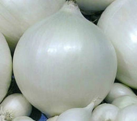 the best varieties of onions - snowball