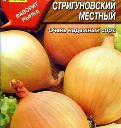 أفضل أنواع البصل - strigunovsky المحلي