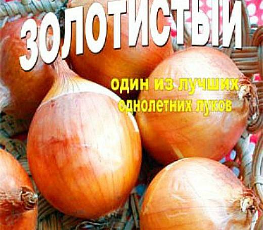 the best varieties of onions - golden