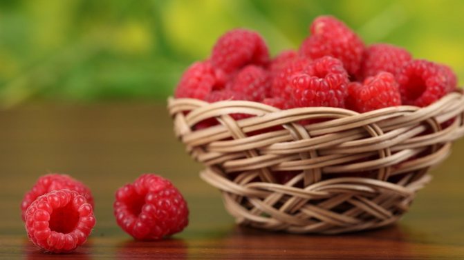 The best raspberry varieties for the south, for the Moscow region, the Urals, central Russia and Siberia: description, photo, video