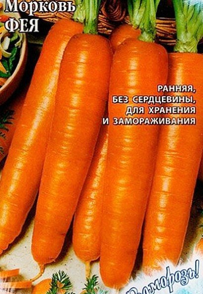 cele mai bune soiuri de morcovi pentru teren deschis, cu o descriere - zână