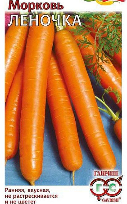 les meilleures variétés de carottes pour terrain ouvert, avec une description - helen
