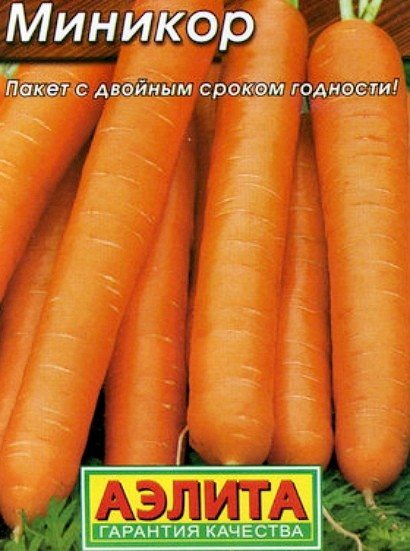 les meilleures variétés de carottes en pleine terre, avec une description - minicore f1
