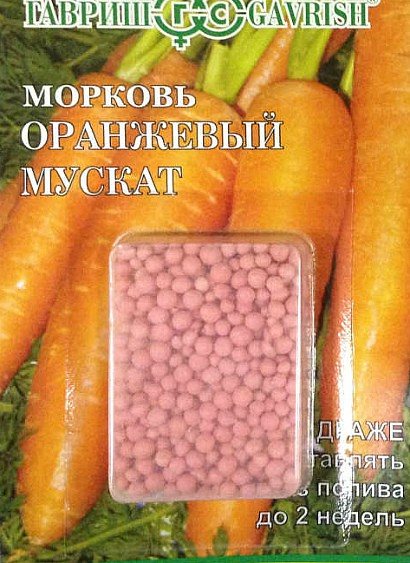the best varieties of carrots for open ground, with a description - orange nutmeg