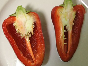 Nejlepší odrůdy silnostěnné sladké papriky pro otevřené terény a skleníky, odrůdy jemně hořkého pepře, recenze