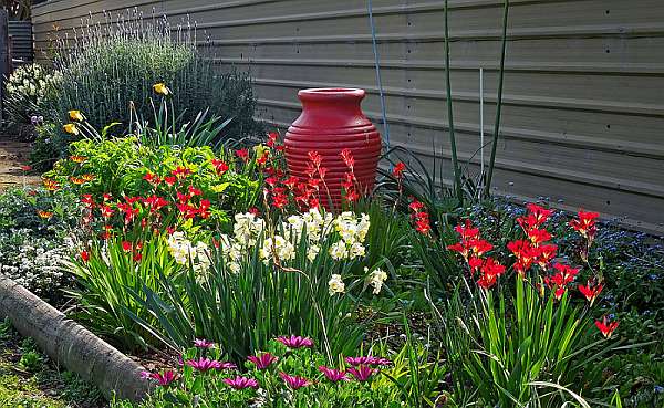 الزهور المنتفخة مناسبة لإنشاء تركيبات الربيع والصيف وحتى الخريف.