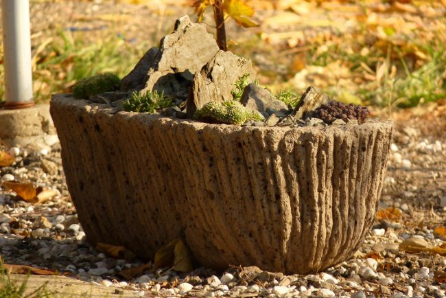 Any stump or stone, if properly designed, can be a great decor element for your garden.