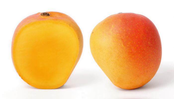 mango frukt växt beskrivning