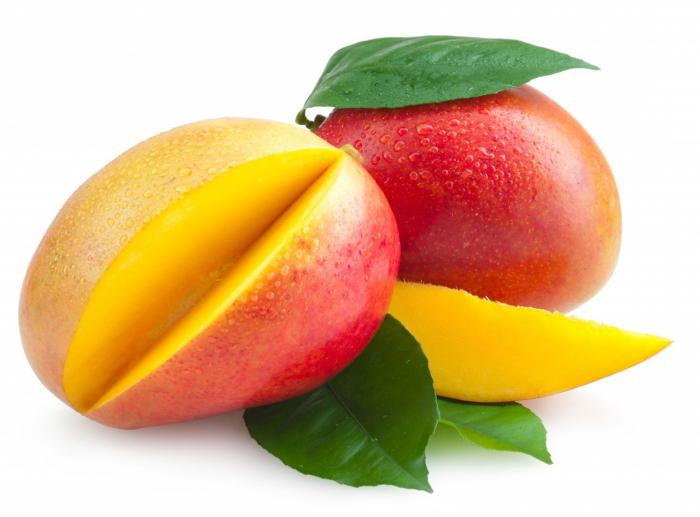 mango växt beskrivning