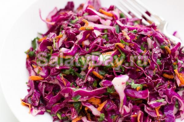 Pickled red cabbage - fragrant with a set of spices