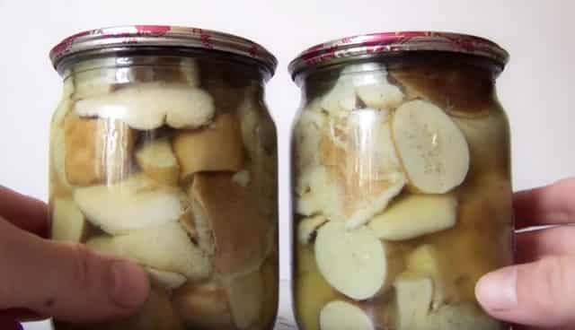 Marinerade porcini-svampar för vinterrecept för 1 liter vatten