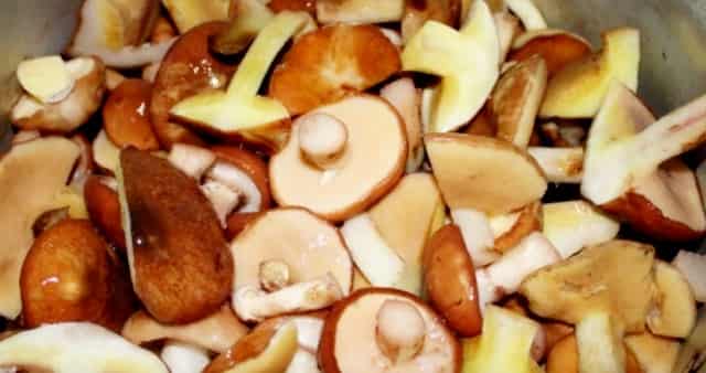 Inlagda svampar (kantareller) - ett mycket gott recept för vintern