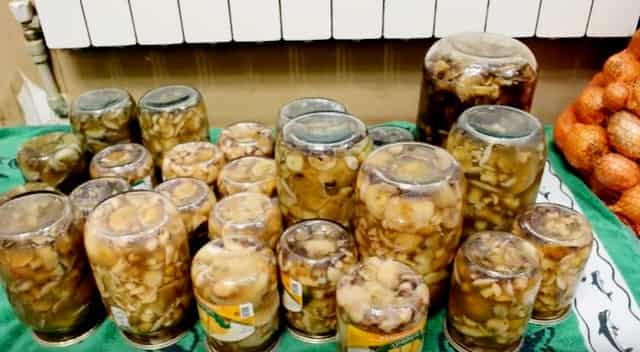 Pickled mushrooms for the winter: simple recipes