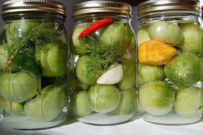 pickled tomatoes without vinegar