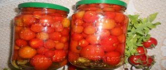 Pickled cherry tomatoes