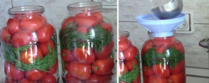 pickled tomatoes for the winter