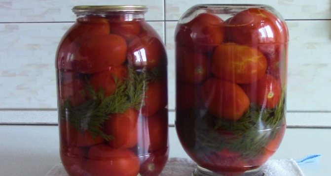 inlagda tomater för vintern