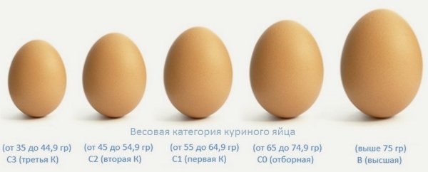 Маркировка на размера на пилешкото яйце