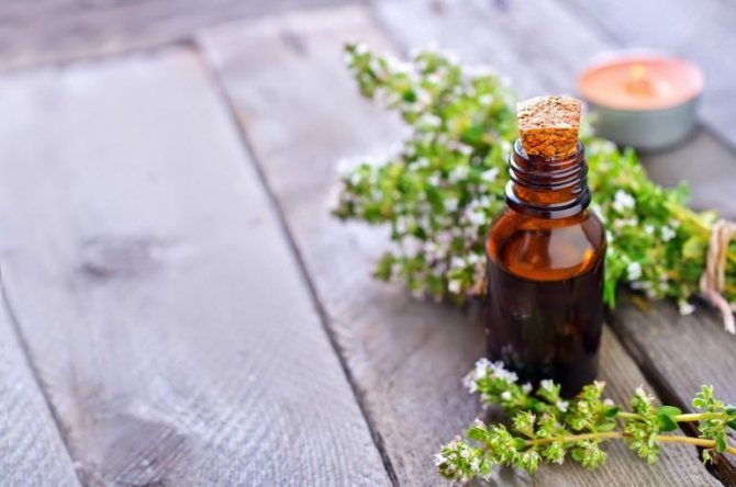 Thyme oil improves appetite, boosts immunity, protects against inflammation and infections, the oil has a special role in the treatment of the respiratory tract