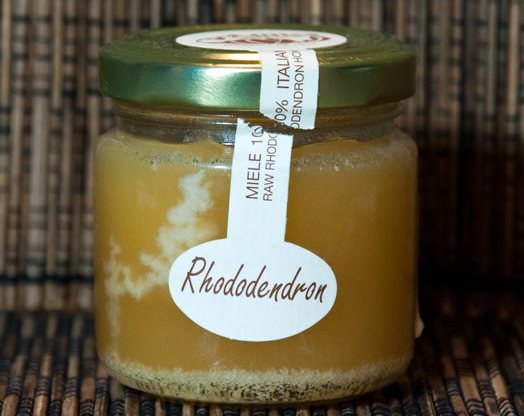 Honung från kaukasisk rododendron används vid behandling av förkylning, bronkit, infektionssjukdomar