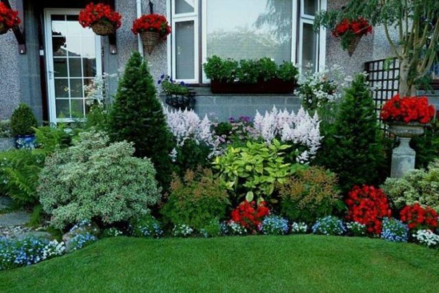 Mixborder of conifers and shrubs: ready-made schemes, amazing ideas with photos