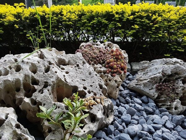 Mini rocaille dans la conception de jardin