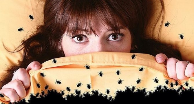 Många kvinnor är rädda för insekter
