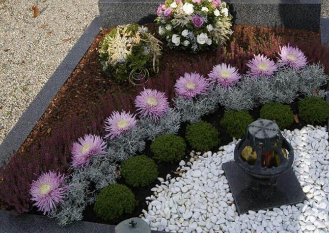 fleråriga blommor på kyrkogården