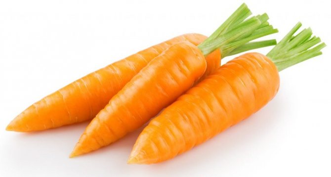 Karotten-Karotel