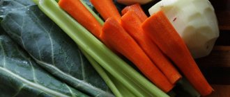 Моркови, стръкове целина, ряпа