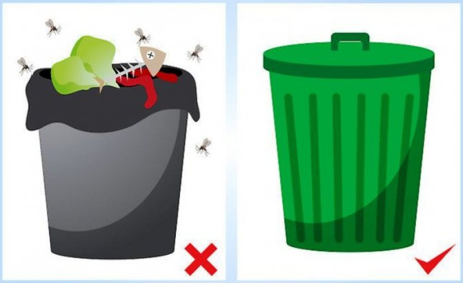 البراغيش والقمامة