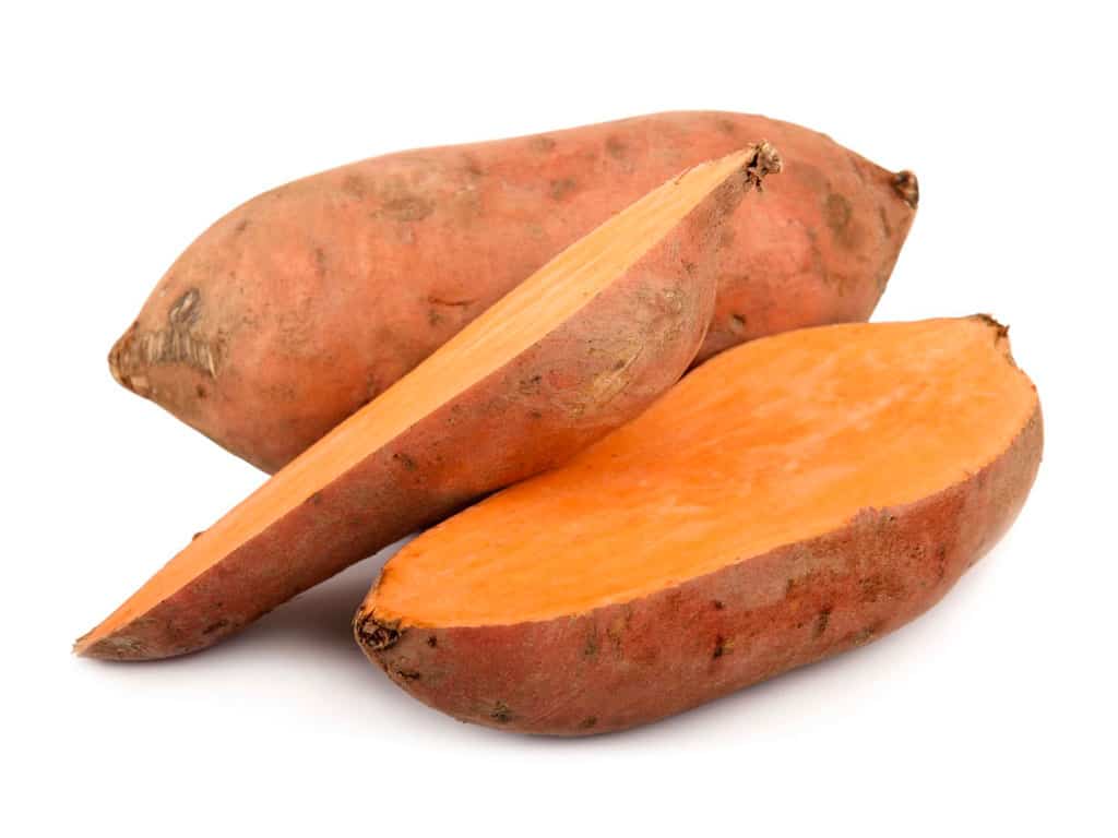 هل من الممكن زراعة البطاطا الحلوة في الضواحي