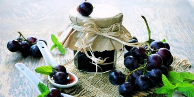 Възможно ли е да се отглежда грозде от семена у дома и как да се грижим за него
