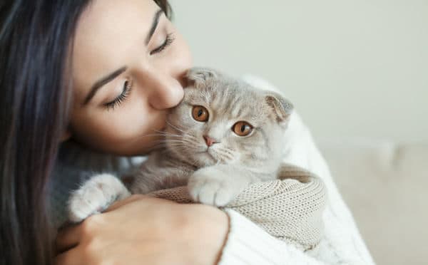 Възможно ли е да се заразите с глисти от котка