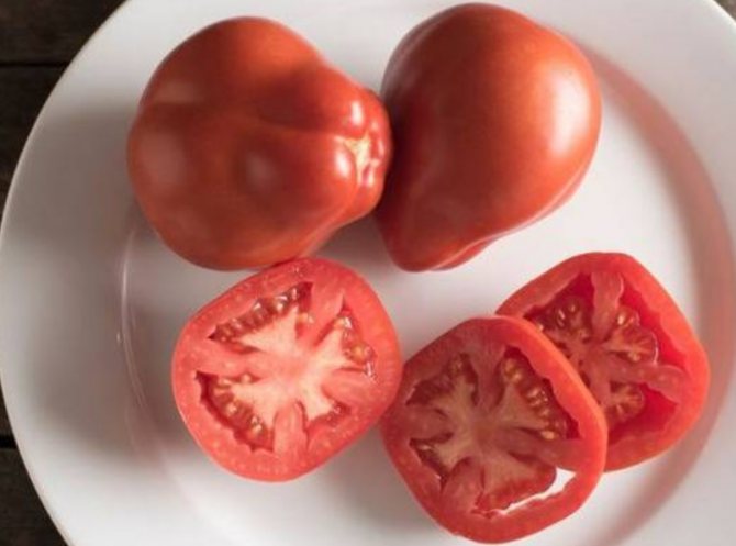 Massan är ganska tät, så tomater kan konserveras och skäras.