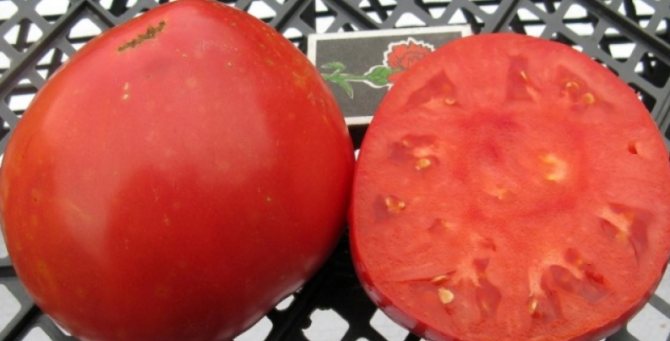 Massan är saftig och tillräckligt tät, så tomater lagras i ett par veckor