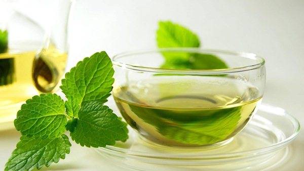 Mint is very useful for the body, helps in the fight against various ailments