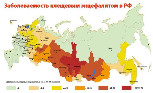 Foto menunjukkan kawasan-kawasan dengan kejadian ensefalitis bawaan kutu di Persekutuan Rusia
