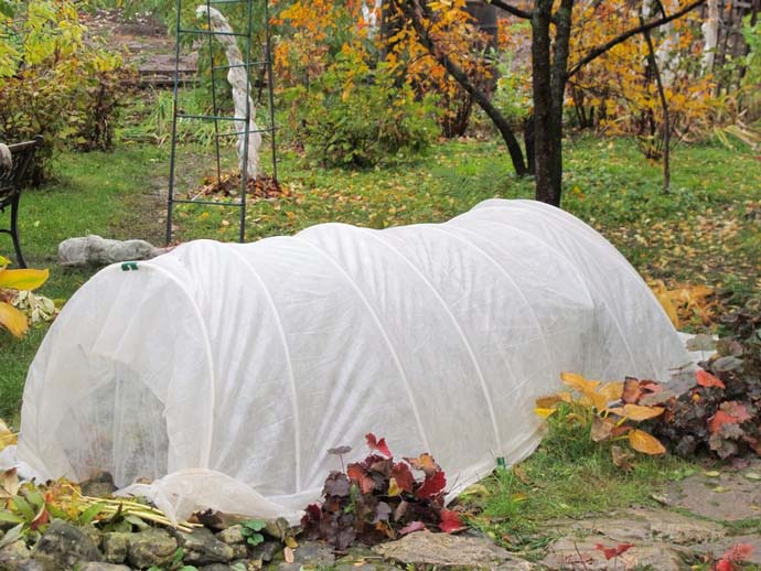 The most reliable is the use of the method of air-dry shelter with the arrangement of a frame structure over the bushes